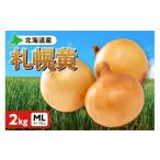 野菜類 玉ねぎ 札幌黄 2kg