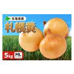 野菜類 玉ねぎ 札幌黄 5kg