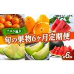 果物の詰合せ フルーツ6ヶ月定期便 2月~7月