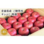 りんご 2026年産 10月 訳あり おいらせ10kg