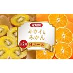 果物類 みかん 旬のフルーツ 定期便 2回 Hコース