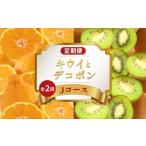 みかん 柑橘類 デコポン 旬のフルーツ 定期便