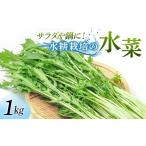 野菜類 サラダや鍋に 水耕栽培の水菜 1kg