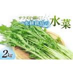野菜類 サラダや鍋に 水耕栽培の水菜 2kg
