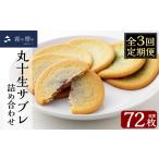 焼菓子 チョコレート クッキー C-086-C