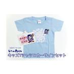 ӂ邳Ɣ[  qǂ m qs `킭ObYC LbYTVc Cgu[ (TCY100) J[TCZbgbqs }XRbgLN^[ TVc