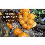 fu.... налог овощи вид .. . Yamagata префектура большой магазин . 4 сезон магазин сосна .e. дерево сырой намеко 900g ( рефрижератор )