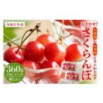 ふるさと納税 果物類 さくらんぼ 山形県 河北町  令和8年産 おまかせさくらんぼ「佐藤錦or紅秀峰」秀Ｌ以上 360g （180gフードパック×2パック） JAさがえ西村…
