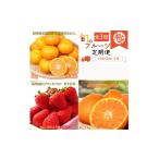 果物類 みかん 〈定期便〉 2 3 12月 全3回