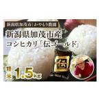 ふるさと納税 米 コシ