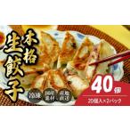 惣菜 レトルト 冷凍 本格生餃子20個×2箱