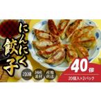 惣菜 レトルト 冷凍 にんにく餃子20個×2箱