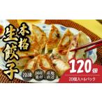 惣菜 レトルト 冷凍 本格生餃子20個×6箱