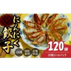 惣菜 レトルト 冷凍 にんにく餃子20個×6箱
