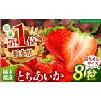 苺 いちご お試しとちあいか 8粒