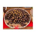 fu.... налог фрукты вид каштан Hyogo префектура Tanba город Tanba жарение каштан 230g×4 пакет 