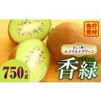 みかん 柑橘類 デコポン キウイ 美しい緑が鮮やかな