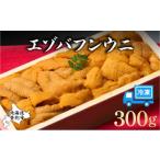 ふるさと納税 ウニ 北海道 登別市  2月発送 うに 冷凍 エゾバフンウニ 折詰 300g 登りうに | ふるさと納税 うに 雲丹 海鮮 年内 配送 おせち 正月 忘年会 高級…