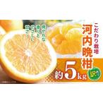 ふるさと納税 果物類 