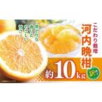 ふるさと納税 果物類 みかん 熊本県 玉名市 こだわり栽培 訳あり 河内晩柑 約 10kg iFARM 岩城農園 | フルーツ 果物 くだもの 柑橘類 柑橘 晩柑 河内 晩柑 み…