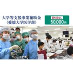 感謝状等 お礼の品なし 大学等支援事業補助金