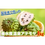 果物類 A1-22567 垂水産温泉アテモヤ 1kg