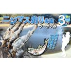 体験チケット ニジマス釣り体験 体験 釣り