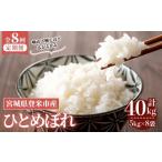 ふるさと納税 米 ひと