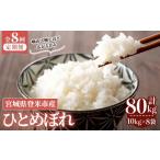 ふるさと納税 米 ひと