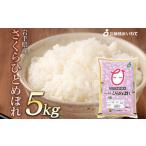 ふるさと納税 米 ひと