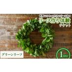 体験チケット リース作り体験チケット グリーンリーフのリ…