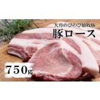 豚肉 ロース 大月のびのび放牧豚 カツ ステーキ用ロース 75…