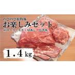 豚肉 ロース 大月のびのび放牧豚 お楽しみ4品セット