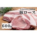 豚肉 ロース 大月のびのび放牧豚 カツ ステーキ用ロース 60…