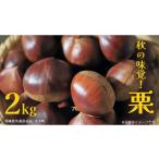 fu.... налог фрукты вид каштан Ibaraki префектура корова . город осенний тест .[ каштан ]2kg 2026 год 9 месяц сверху . отправка начало ( Ibaraki префектура общий возврат . товар : большой . блок ).. marron фрукты конфеты Montblanc каштан ....