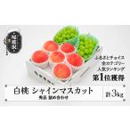 もも 令和9年産 白桃 シャインマスカット