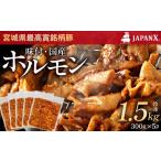 豚肉 ホルモン JAPAN X 味付ホルモン 300g×5