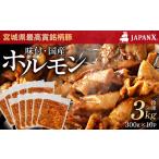 豚肉 ホルモン JAPAN X 味付ホルモン 300g×10