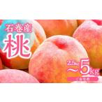 ふるさと納税 もも 愛知県 豊橋市  先行予約 2026年発送 石巻産桃 2.5kg 桃 もも モモ フルーツ 桃 もも モモ 果物 白鳳 日川白鳳 清水白桃 川中島白桃 なつっ…