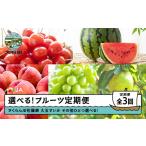 ショッピングふるさと納税 さくらんぼ ふるさと納税 果物類 さくらんぼ 山形県 大石田町  先行予約 選べるフルーツ定期便 全3回 さくらんぼ 佐藤錦 大玉すいか シャインマスカット 2026年産 令和8年…