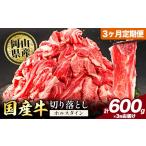 牛肉 肉 牛 切り落とし ホルスタイン 小分け 600g