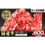 牛肉 肉 牛 切り落とし ホルスタイン 小分け 600g