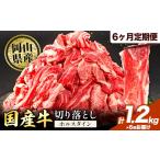 牛肉 肉 牛 切り落とし ホルスタイン 小分け 1.2kg