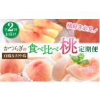 果物の詰合せ 桃好き必見 かつらぎの自慢の桃