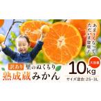 ふるさと納税 果物類 みかん 徳島県 佐那河内村 訳あり 熟成みかん 10kg 《1月上旬-3月上旬頃出荷》徳島 柑橘 ミカン 蜜柑 フルーツ 青果物 大容量 徳島県 佐…