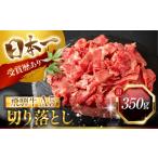 飛騨牛 A5 切り落とし 400g
