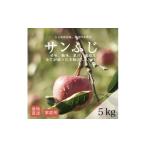 ショッピングふるさと納税 訳あり 傷 ふるさと納税 りんご 青森県 藤崎町  産地直送 サンふじ　家庭用　5kg(12〜20個) 1667200