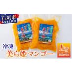 fu.... налог манго Okinawa префектура камень . город рефрижератор прекрасный .. манго 1kg(500g×2 пакет )CB-3 1kg