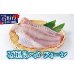 旬の鮮魚等 石垣島 ハタ ハーフフィーレ 勝水産