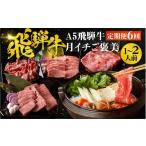 牛肉 ロース 6ヶ月定期便 A5 飛騨牛 ちょこちょこお届け